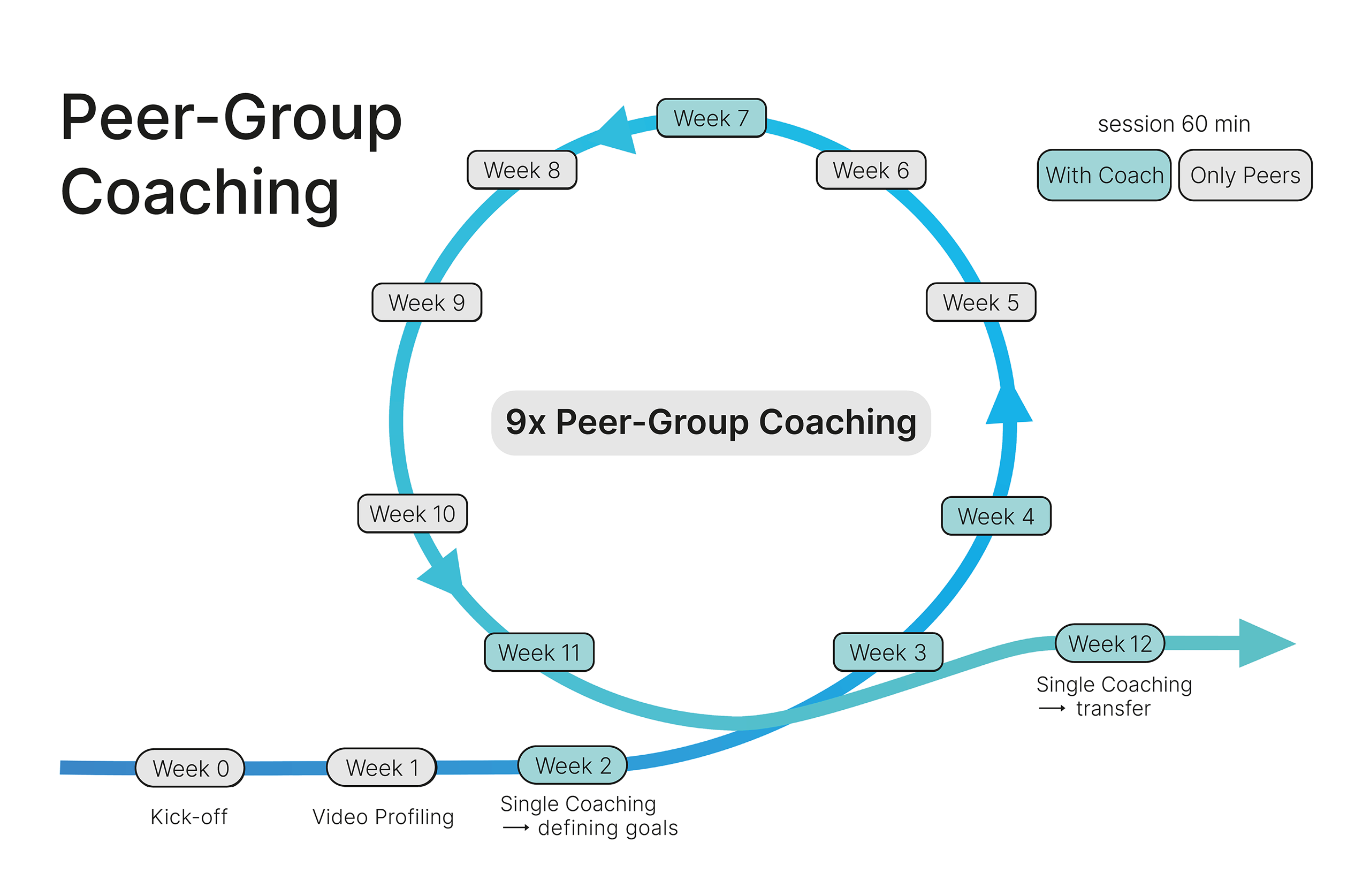 zoom in Advanced peer group coaching