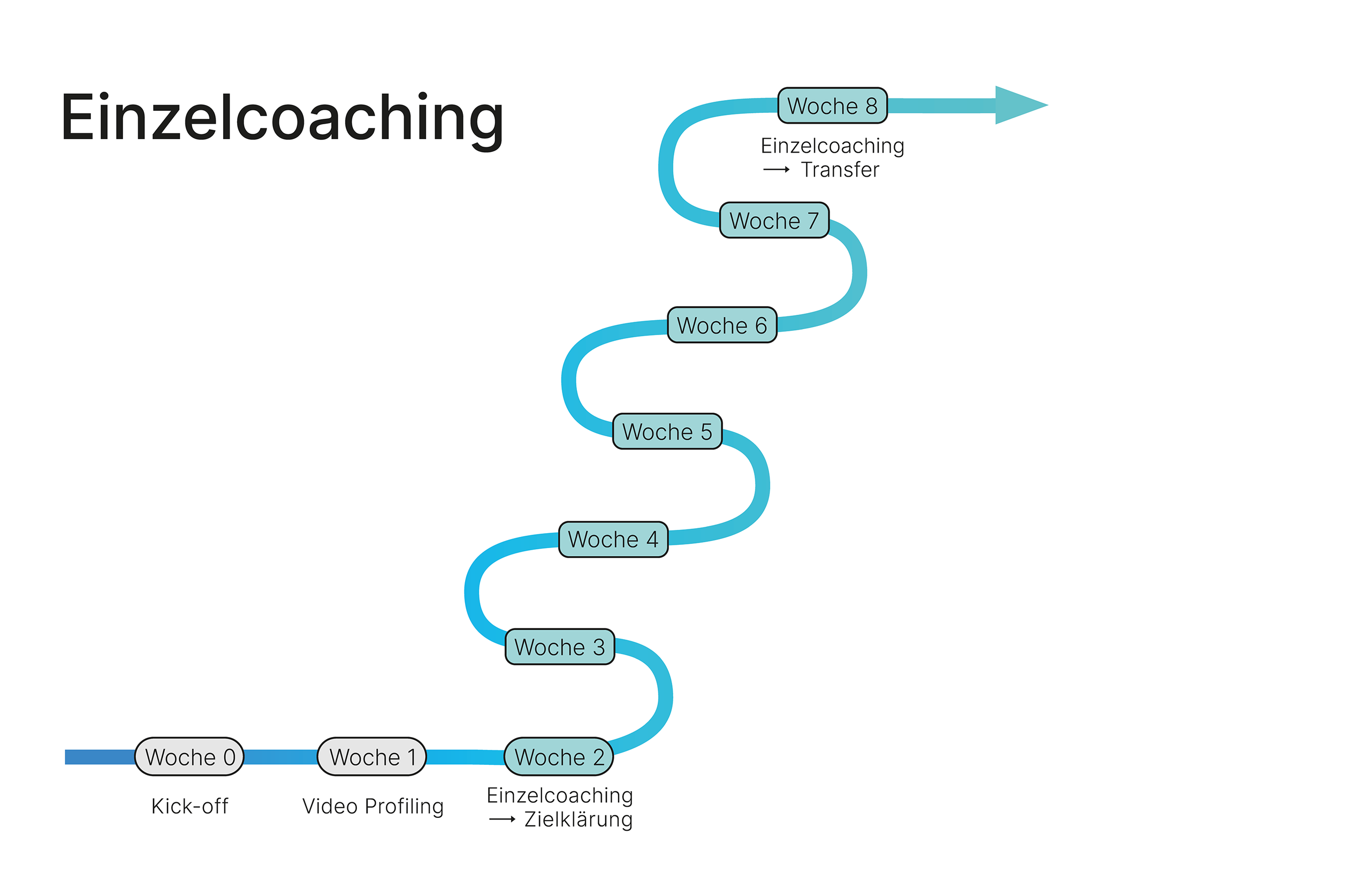 vergrößern Schaubild Einzelcoaching