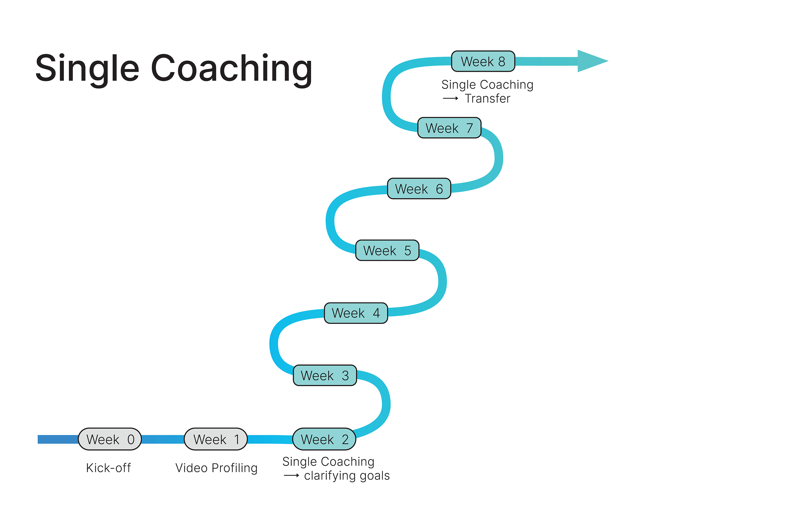 zoom in Diagram of single coaching